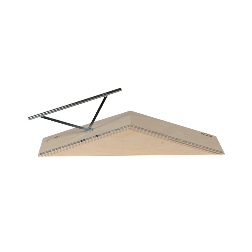 Schneider Pro 4 Ramp - Half Rail