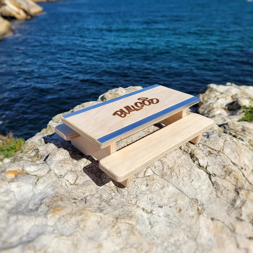 PicNic Table