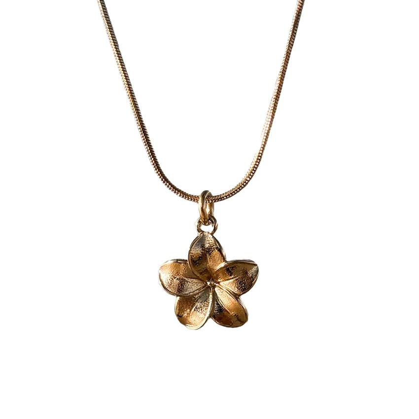 Oceaan Ketting Goud