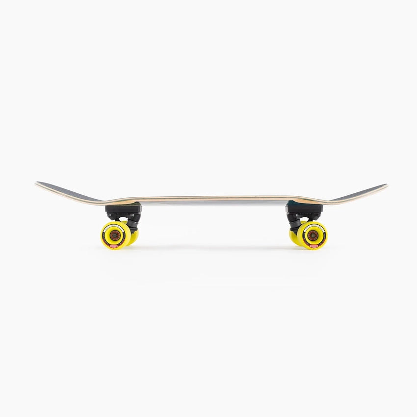 Raft Trout 32.5" Cruiser Longboard Complete